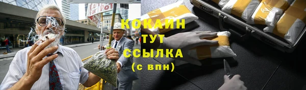 ПСИЛОЦИБИНОВЫЕ ГРИБЫ Вяземский