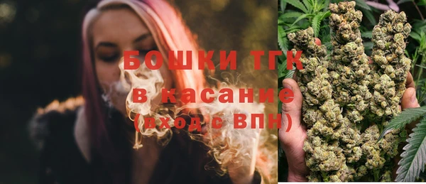 ПСИЛОЦИБИНОВЫЕ ГРИБЫ Вяземский