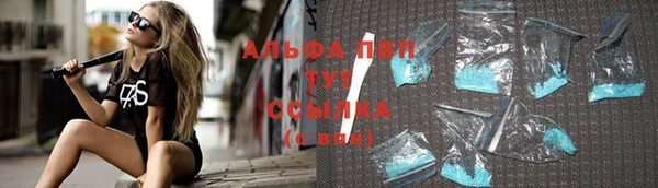 ПСИЛОЦИБИНОВЫЕ ГРИБЫ Горнозаводск